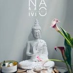 N0108 Buddha Vitarka 33cm