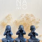 N0303 Monjes Sabiduria