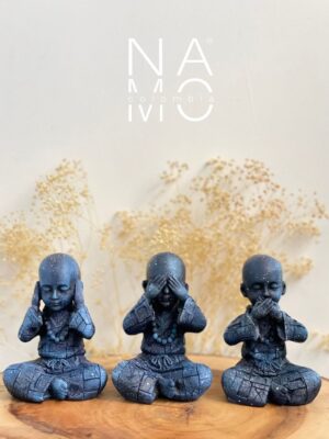 N0303 Monjes Sabiduria