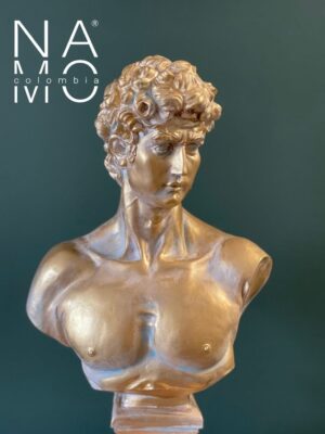 N0901 Busto David 42cm-2