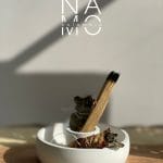 N1102 Quemador Sahumerio #2