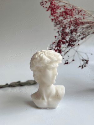 Vela Busto David